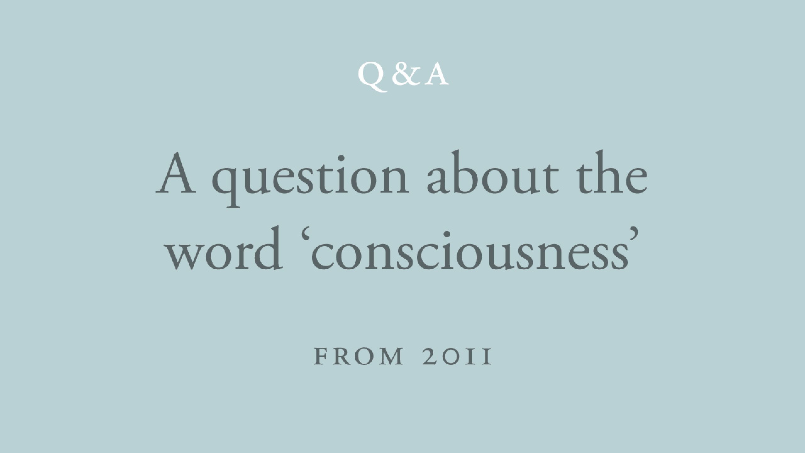 Is the word 'consciousness' the most accurate way of pointing to our experiencing?