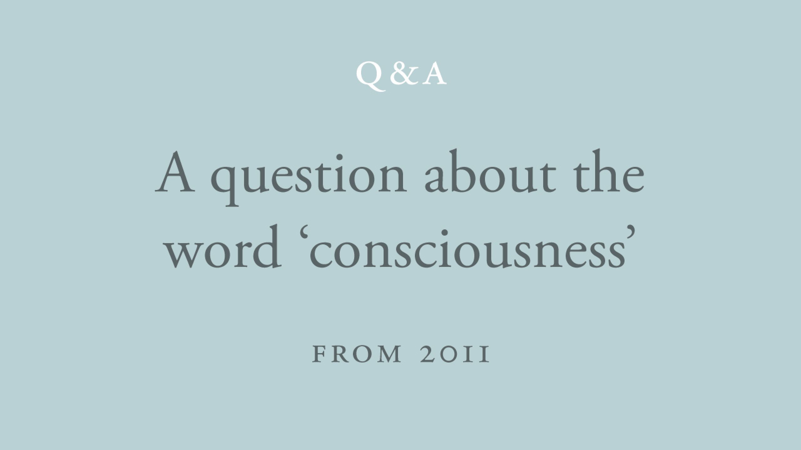 is-the-word-consciousness-the-most-accurate-way-of-pointing-to-our