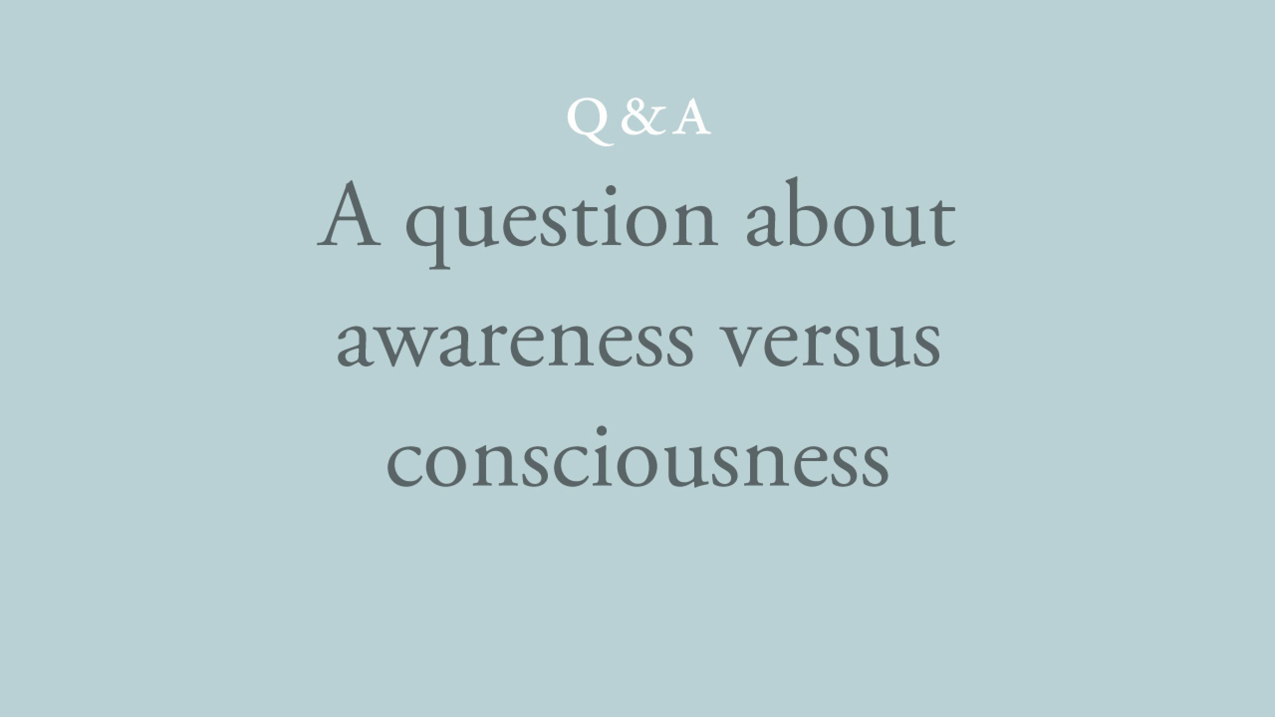 In your teaching, is awareness the same as consciousness?