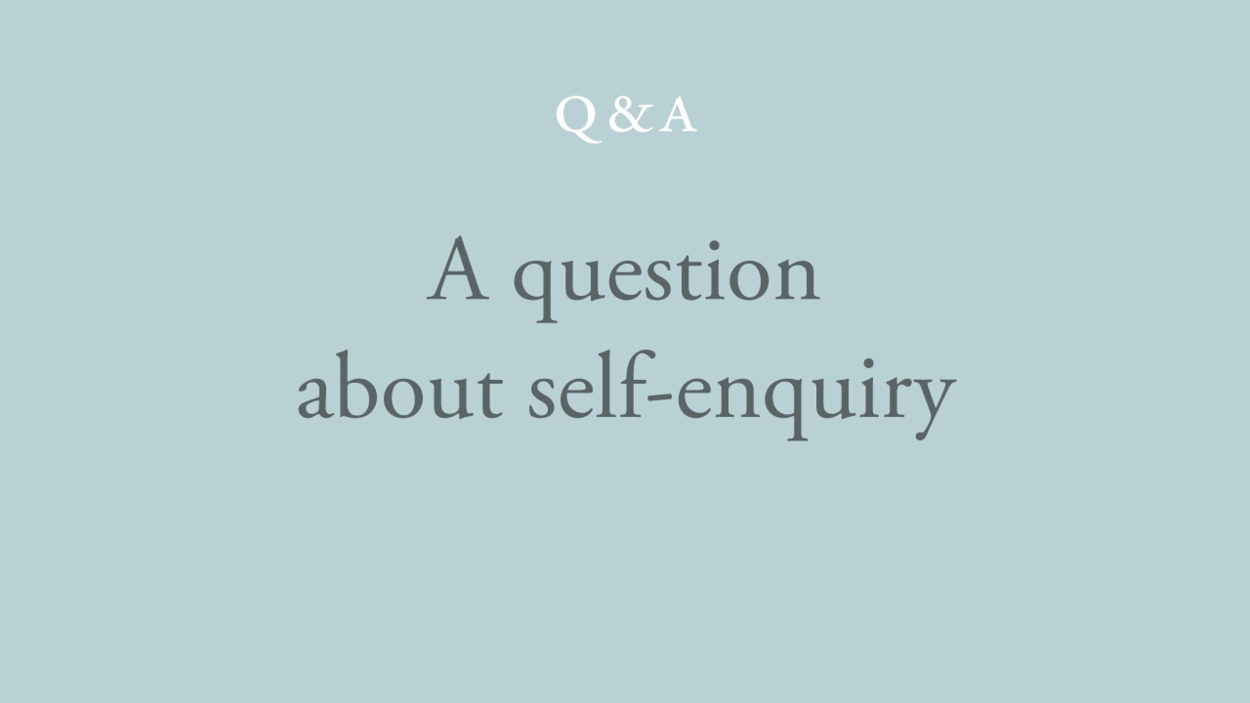 Who is doing the self-enquiry?
