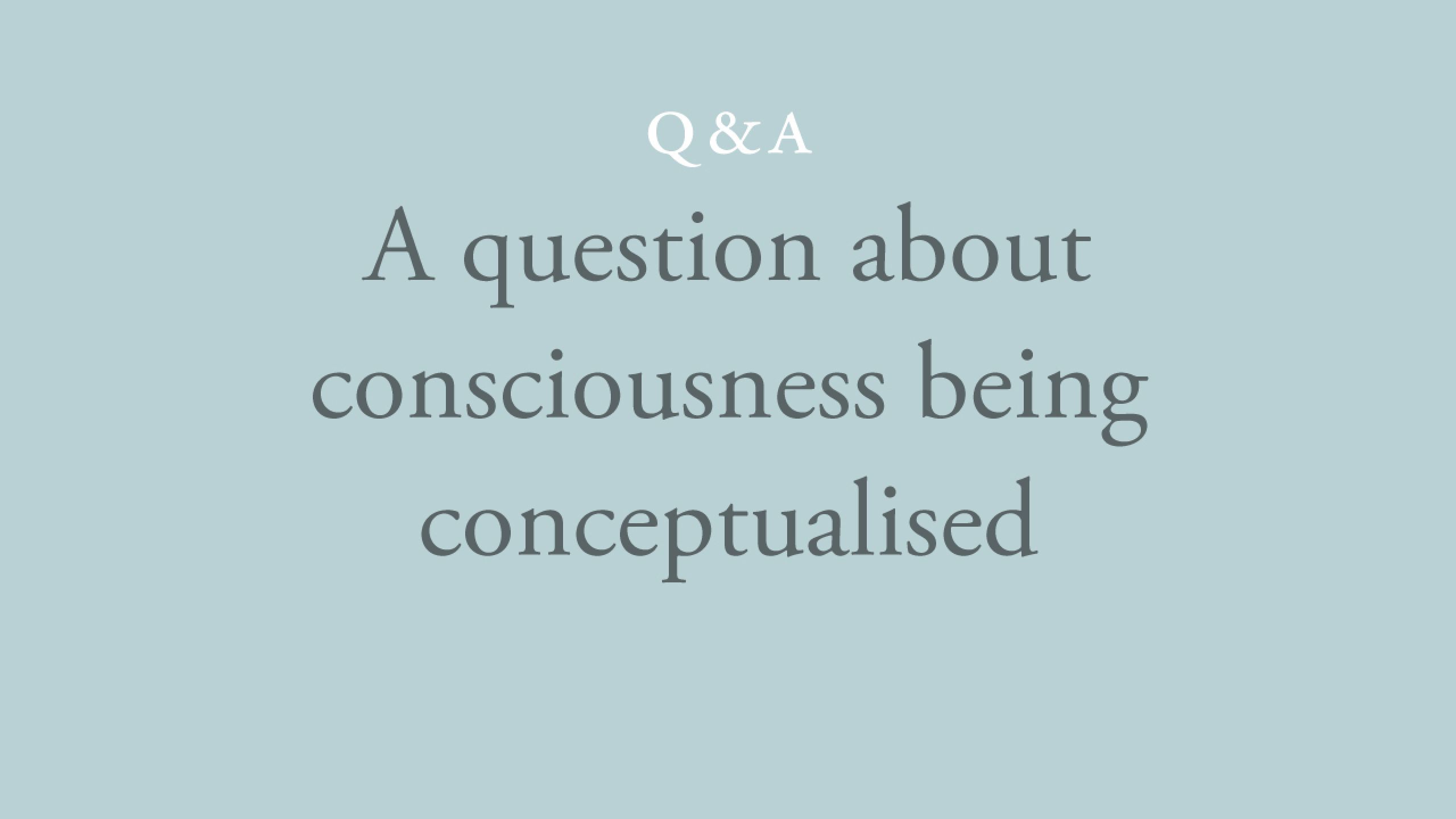 Would you agree that consciousness cannot be conceptualised?
