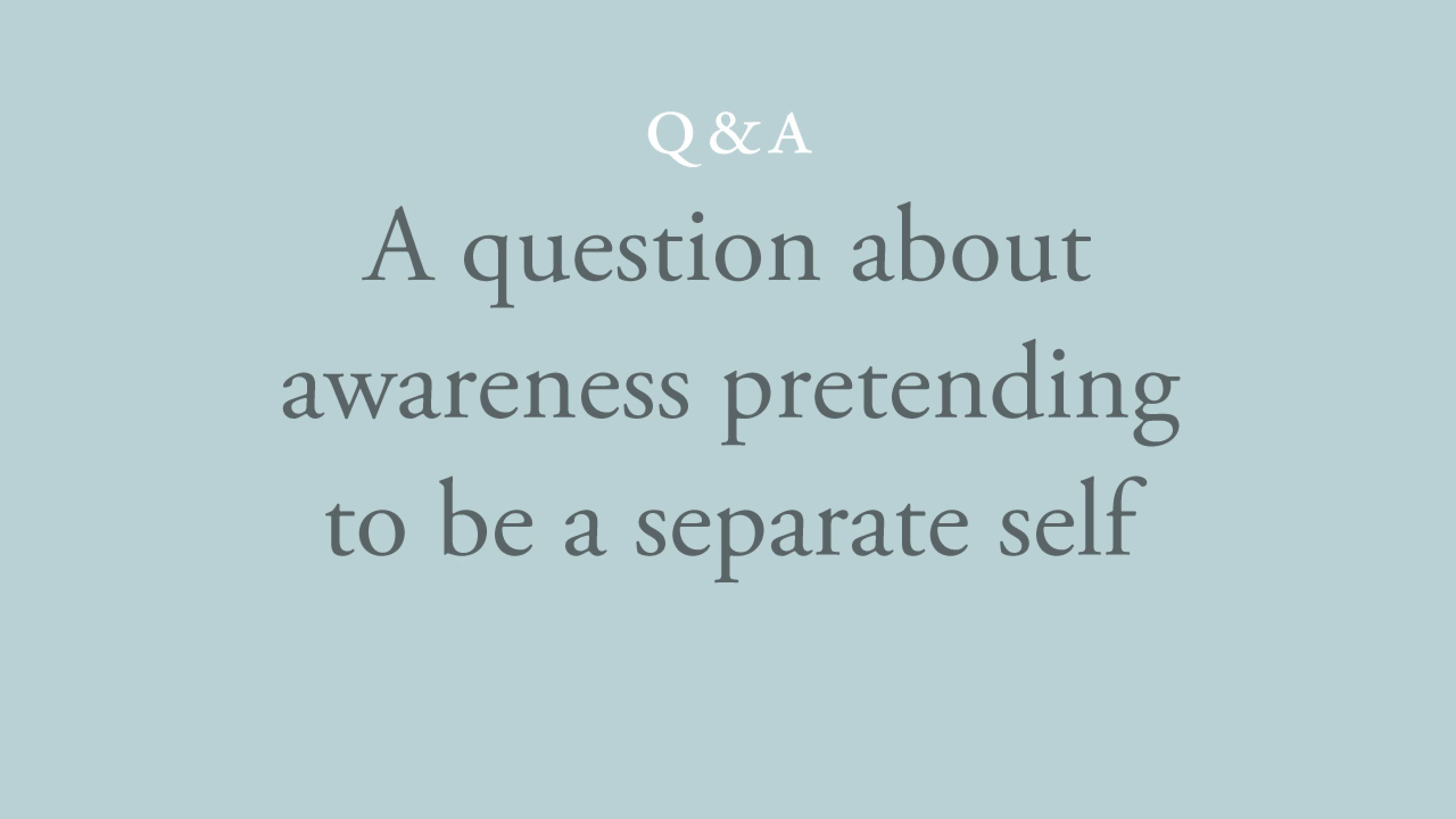 Why does awareness pretend to be a separate self?