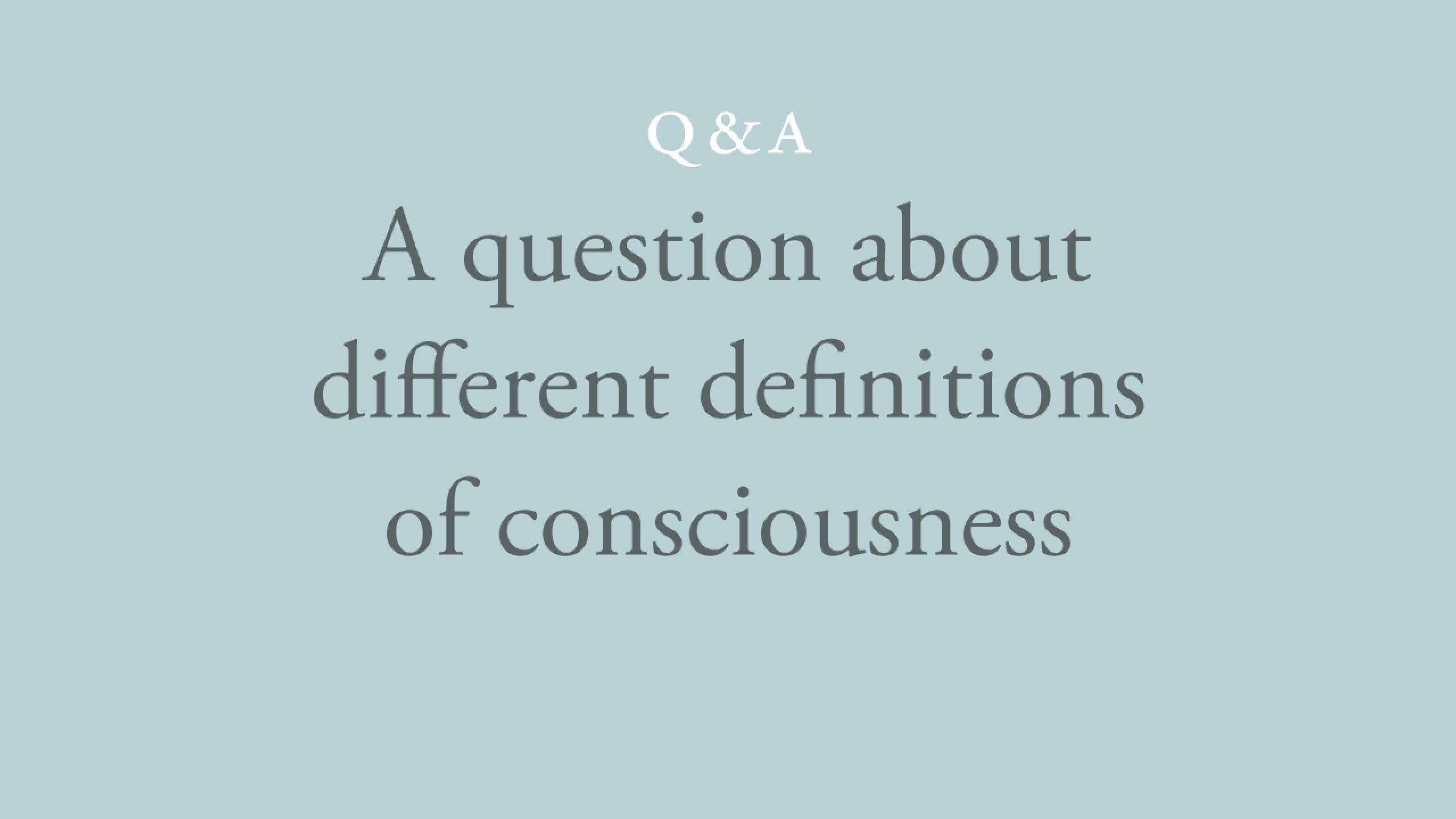 How does your explanation of consciousness differ from Nisargadatta's?