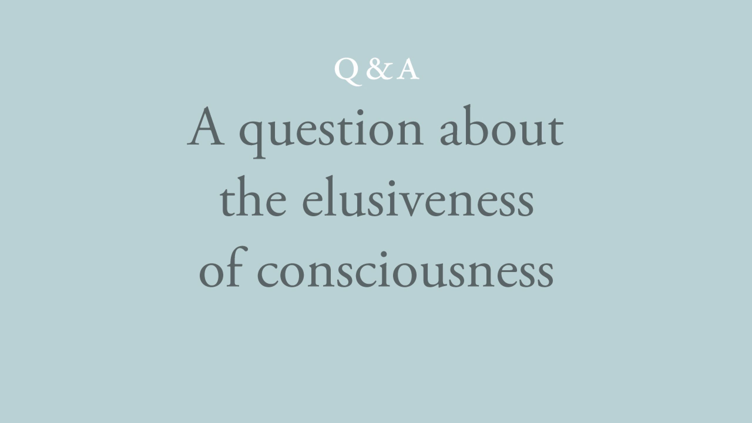 Is consciousness elusive?